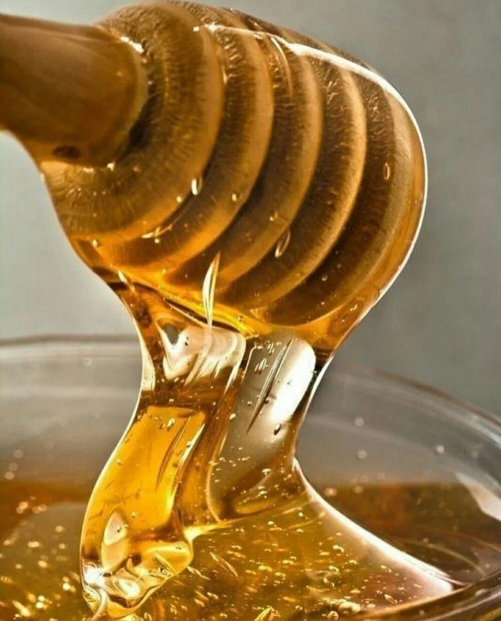 Honey фото. Мед. Красивый мед. Мёд натуральный. Мед льется.