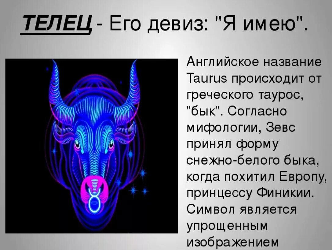 Козерог тотемное