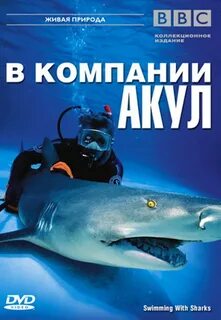 Акула 2002