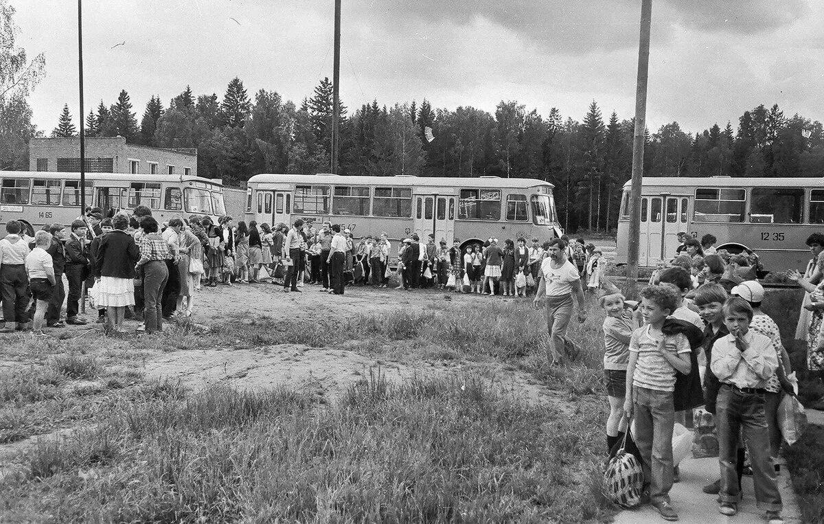 Пионерлагерь Пионерский лагерь СССР. Пионерский лагерь "Юность" Московского завода "Эра". Пионерский лагерь Юность завод Эра. Пионерский лагерь Лужки Минводхоз СССР. Приезд в лагерь