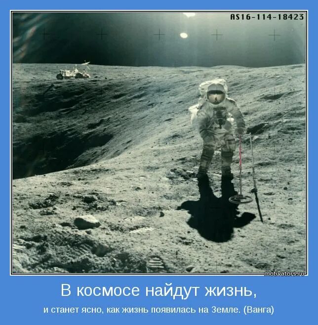 в космосе нашли жизнь. жизнь на других планетах. инопланетный корабль на марсе. в космосе нашли жизнь. марс снимки наса реальные снимки.