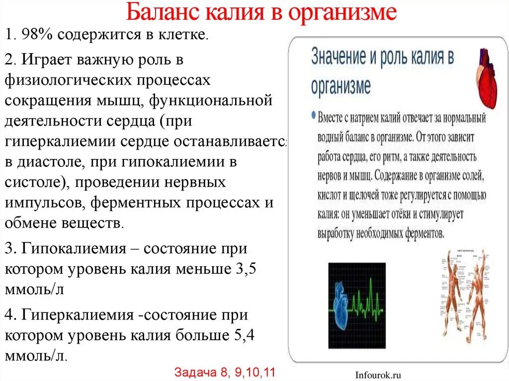 Калий повышен причины у женщин. Дефицит калия в организме. Роль калия в организме человека. Калий функции в организме человека. Роль калия в сердце.