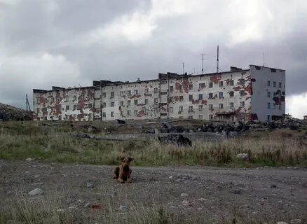 Где зеленец