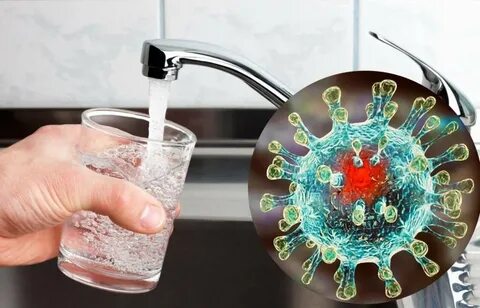 Вода возбудители