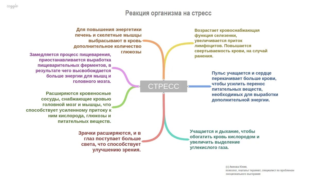 Состояние организма при котором замедляется жизненные процессы