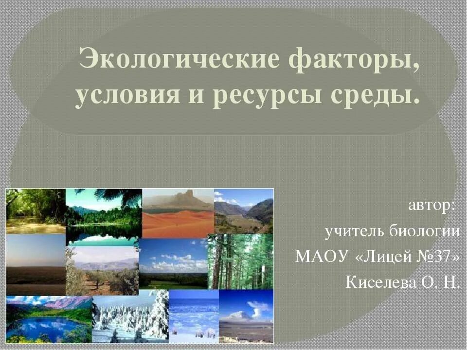 Экологические факторы и условия среды презентация. Экологические факторы и ресурсы. Факторы и ресурсы среды. Экологические факторы ресурсы и условия. Факторы среды ресурсы и условия.