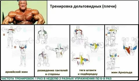 Тренировка в зале для плечей