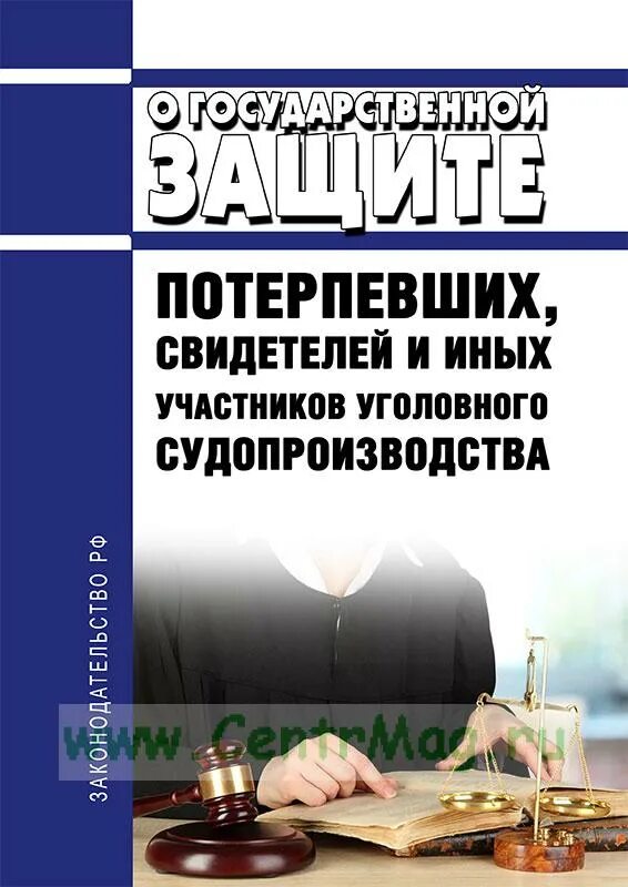 Закон 119 о государственной защите. Гос защита потерпевших. Защита потерпевшего и свидетеля. Государственная защита свидетелей. Федеральный закон о государственной защите потерпевших свидетелей.