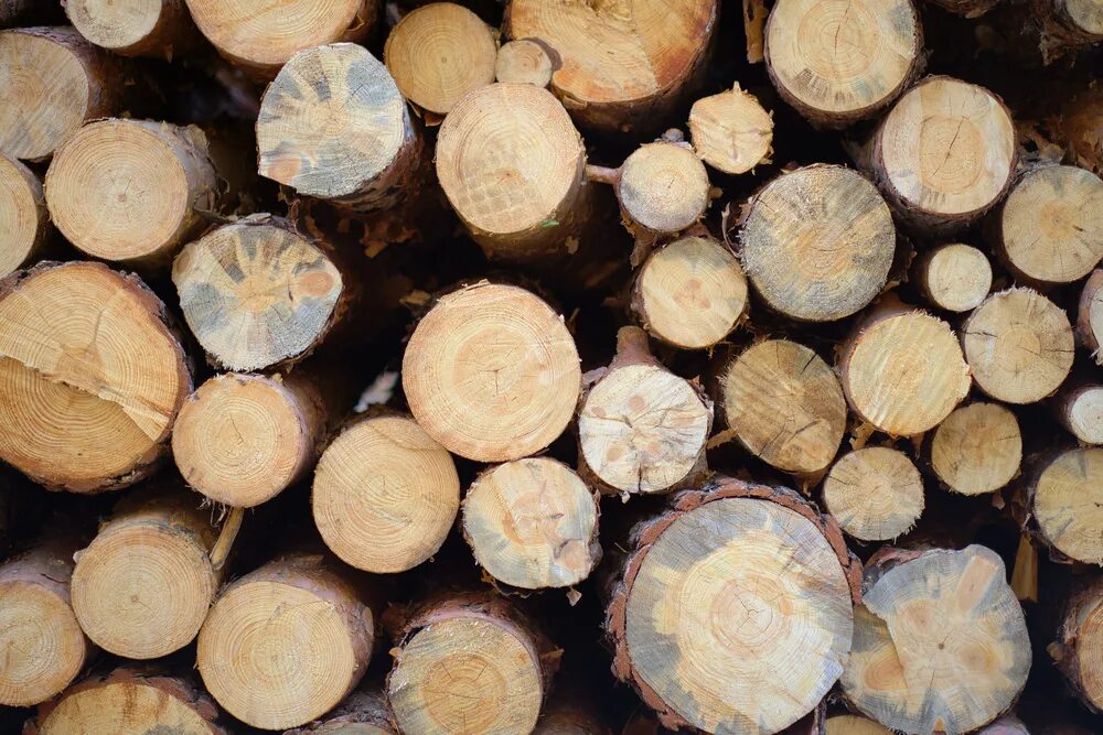 Export logs