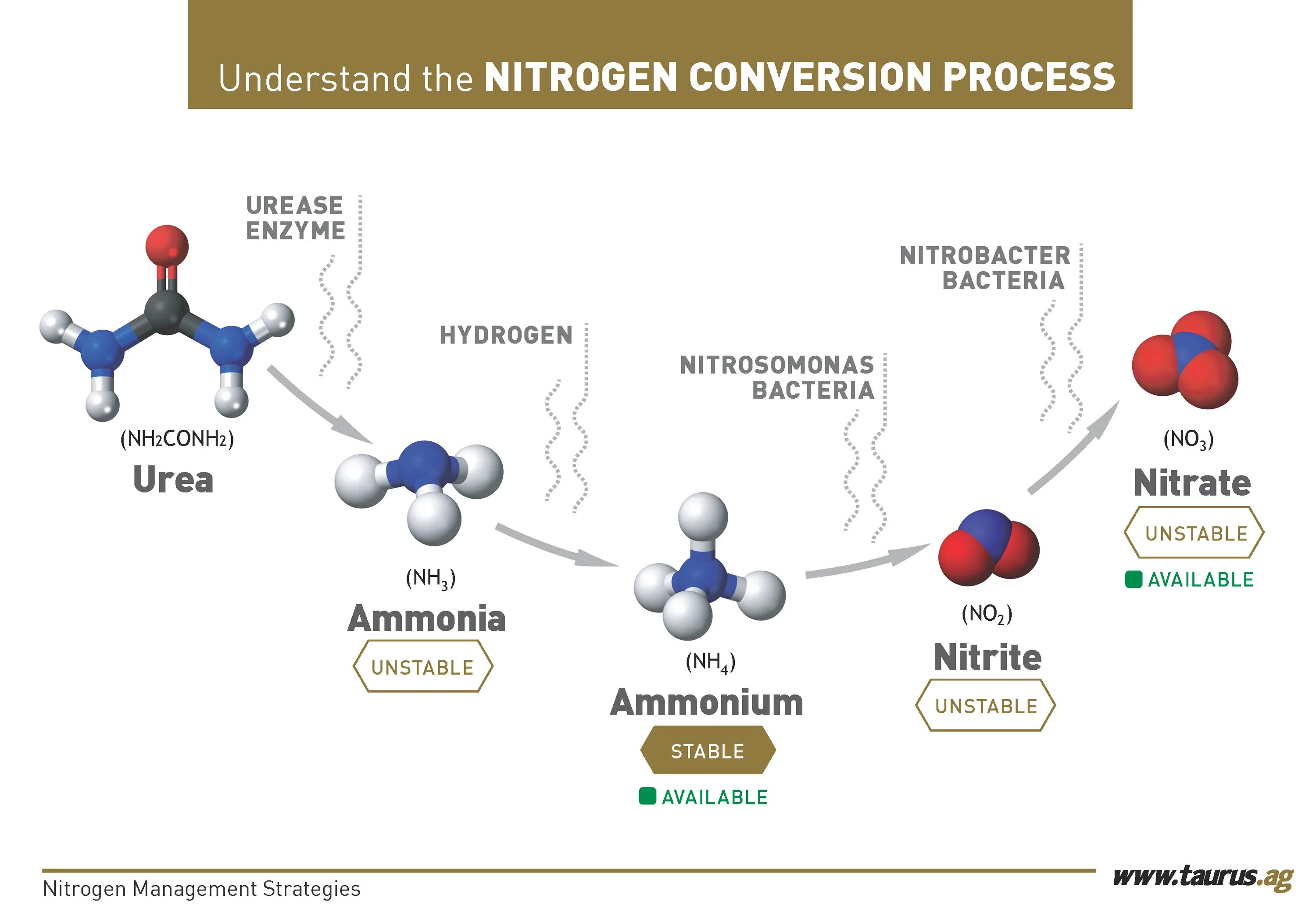 Conversion process