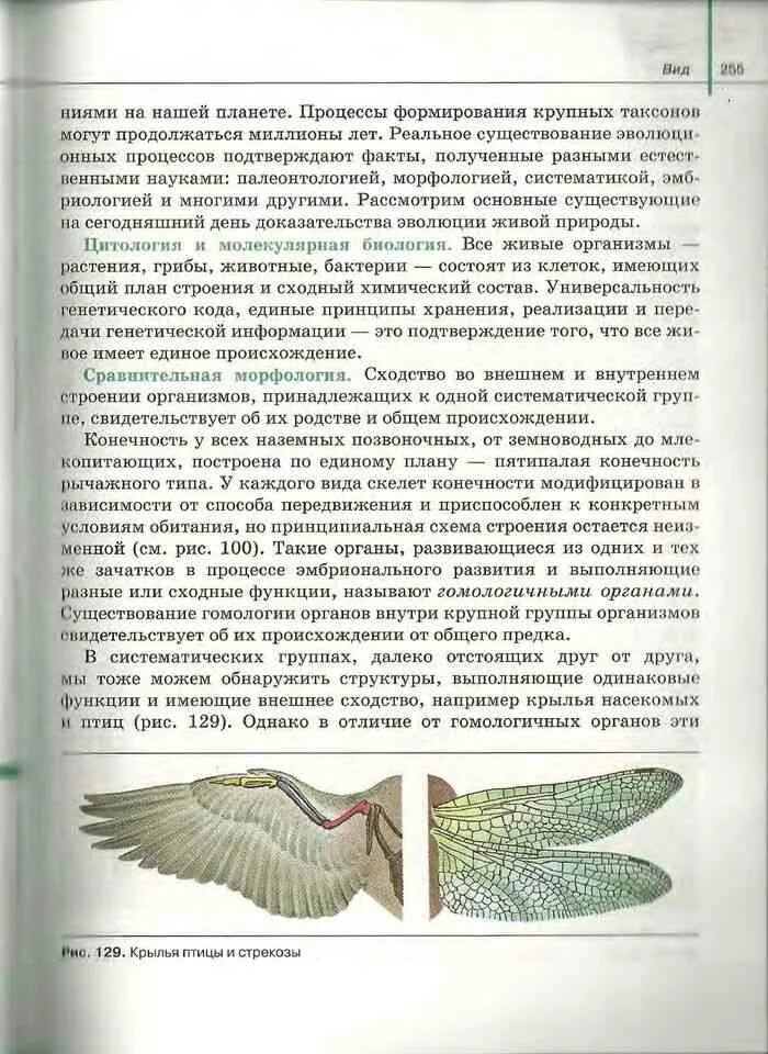 Биология 10 класс читать сивоглазов. Учебник по биологии 10-11. Биология 10-11 класс учебник. По биологии учебник профиль 10-11. Учебник биология 11 класс Агафонова Сивоглазов читать.