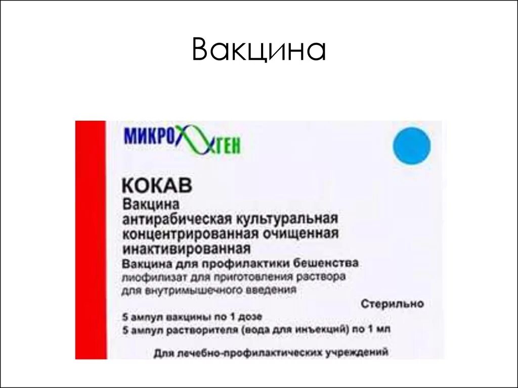 Вакцина антирабическая инактивированная. Вакцинация и антирабический иммуноглобулин от бешенства. Кокав инструкция. Вакцина антирабическая рабивак внуково 32. Вакцина антирабическая культуральная.