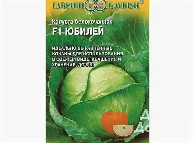 Сорт капусты юбилей