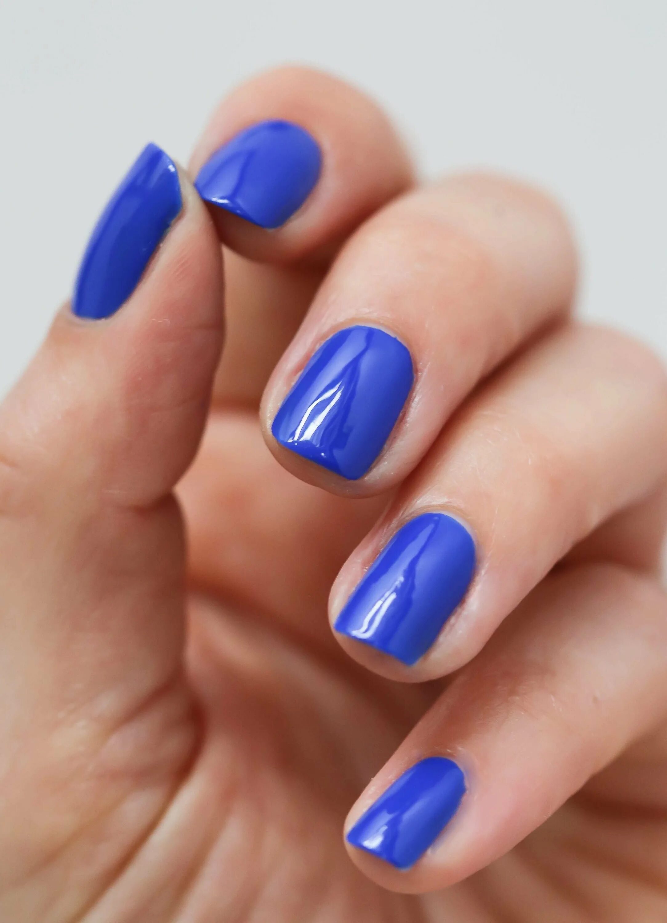 Васильковый маникюр. Ногти василькового цвета. Васильковый маникюр. Маникюр василькооцвета. Ногти василькового цвета.