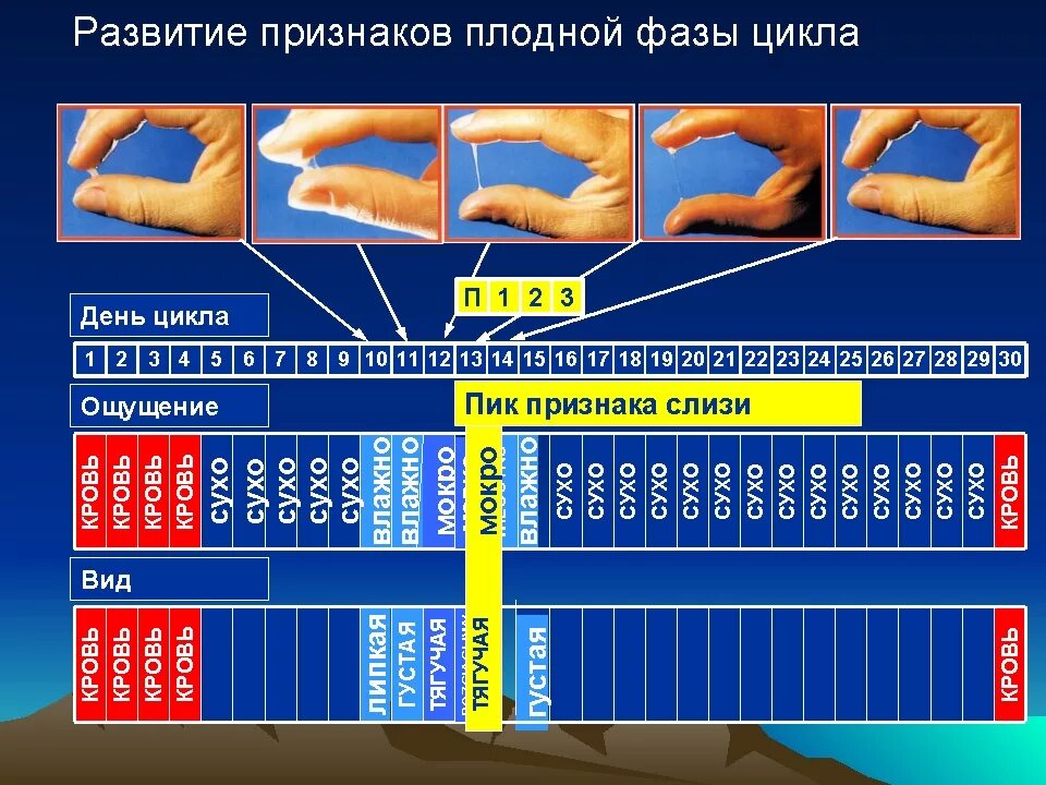 Выделения в середине цикла при приеме противозачаточных