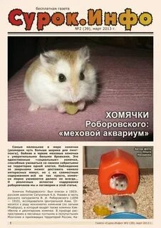 Как узнать код в хомяке
