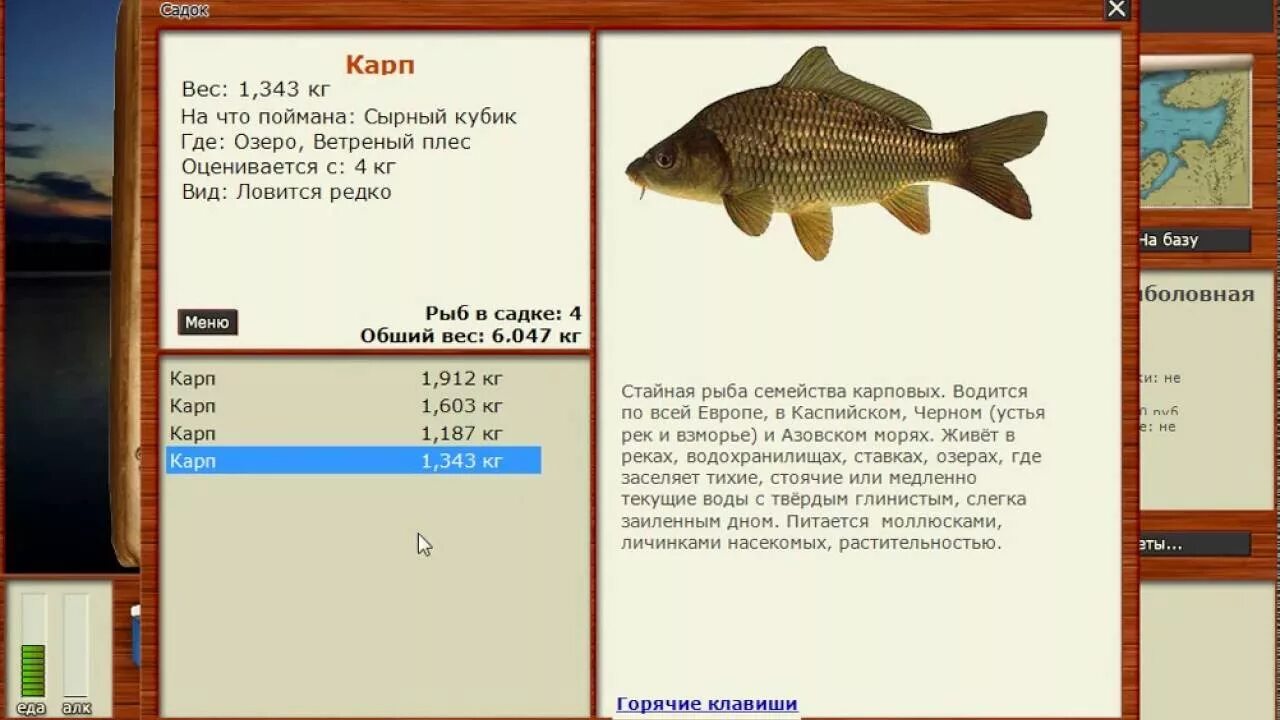 Рыбалка 3 базы. Русская рыбалка 3 турнир озеро Карп. Рр3 карповая заводь. Русская рыбалка 3 Рыбхоз Карп. Русская рыбалка 3.6 озеро.