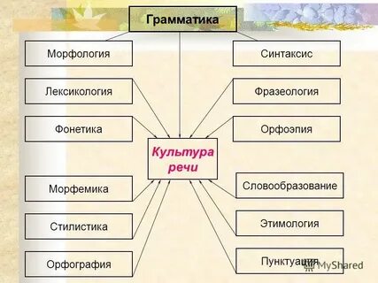 Повторение темы лексикология культура речи 6 класс