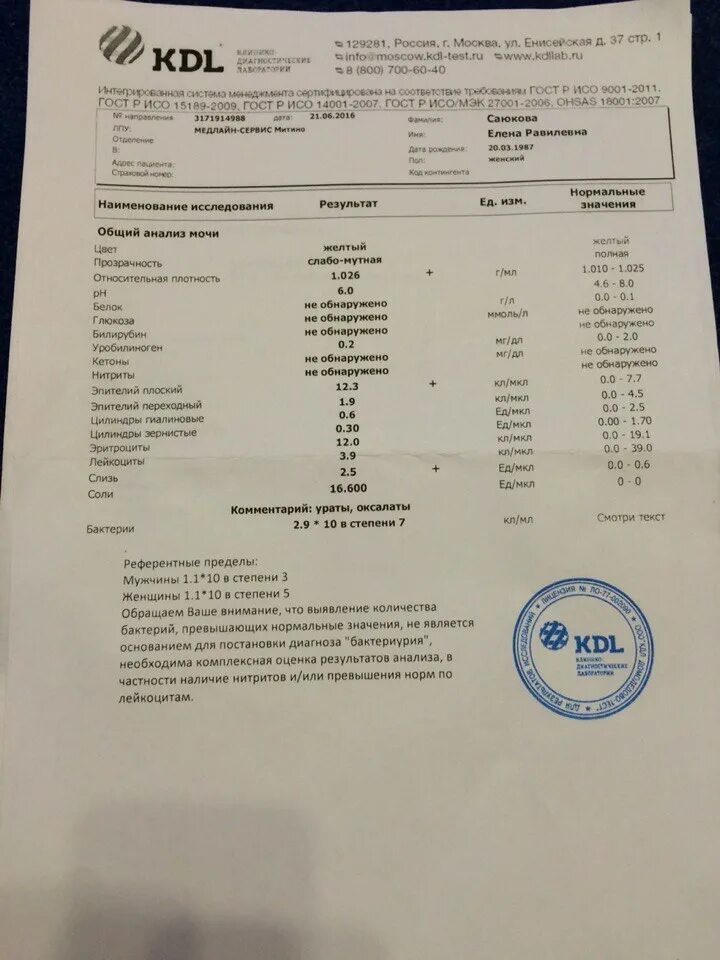 Белок кдл. Результаты анализа мочи. Исследование мочи анализ. Заключение анализа мочи. Анализ мочи пример результата.