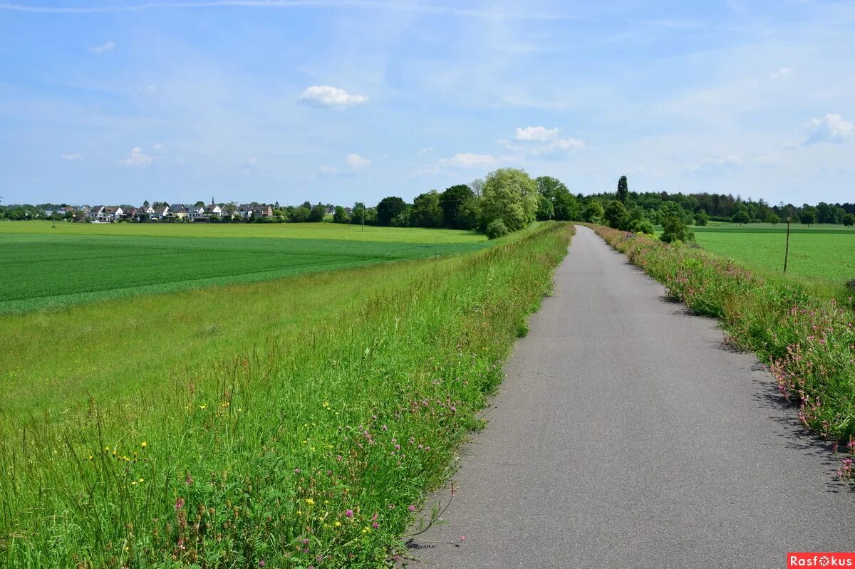 Деревенские тропинки марий эл. Дорожки в деревне. Деревянные тропинки. Сельская дорога бельгия. Тропинка.