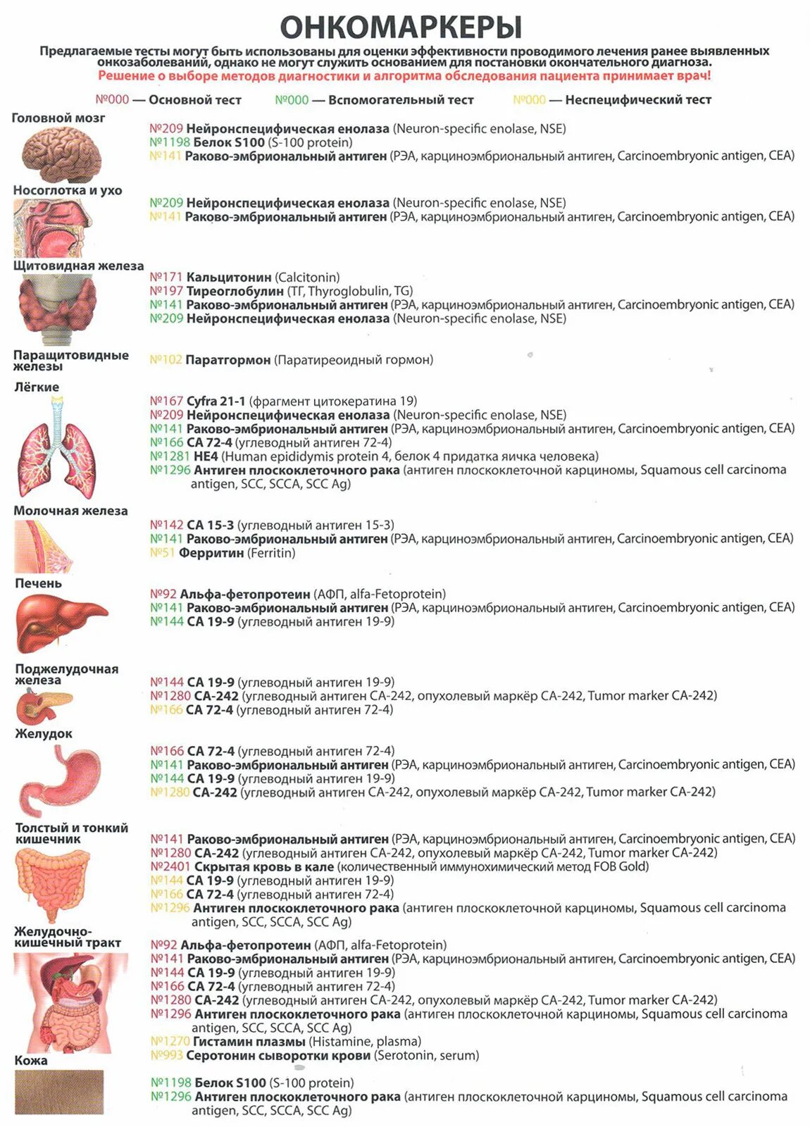 Онкомаркеры 19 9 расшифровка у мужчин. Онкомаркеры. Онкомаркеры человека. Онкомаркеры таблица. Тест на онкомаркеры.