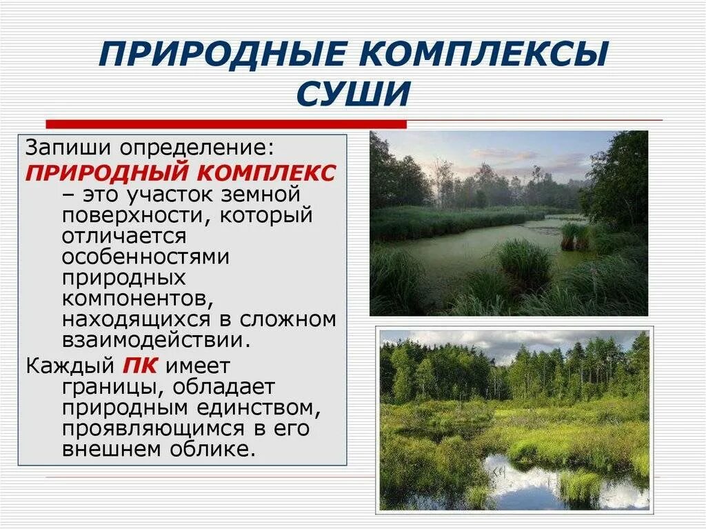 Что такое природный комплекс 8 класс. Природные комплексы. Природный комплекс этт. Природные комплексы суши и океана. Природный комплекс это в географии.