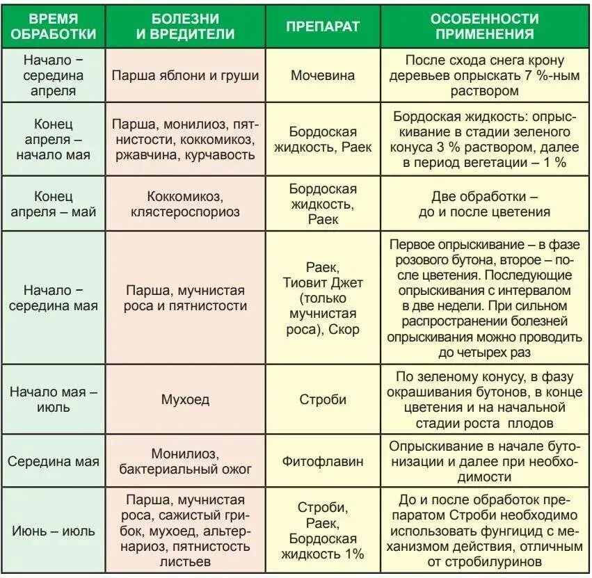 Подкормка деревьев во время цветения. Схема подкормки плодовых деревьев и кустарников. схема обработки сада от вредителей. обработка сада от вредителей и болезней. схема обработки сада весной.
