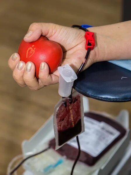Донор крови красноярск
