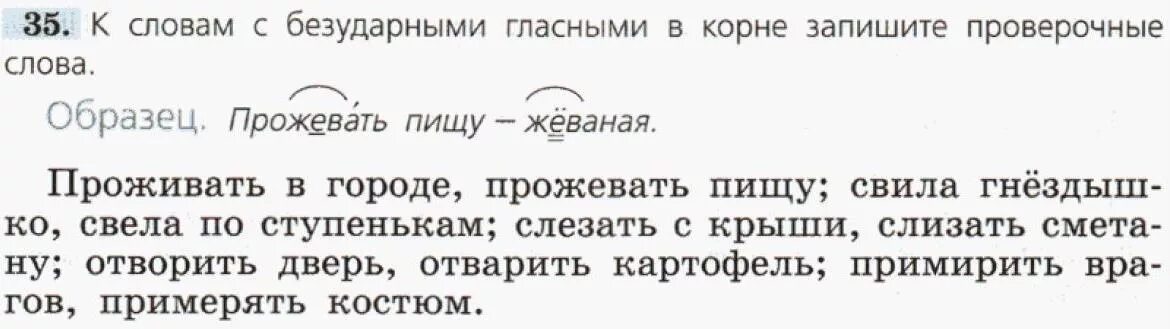 Прожевать проверочное слово. Свела проверочное слово. Проживать в городе прожевать пищу. Проверочное слово к слову свила. Слезать проверочное