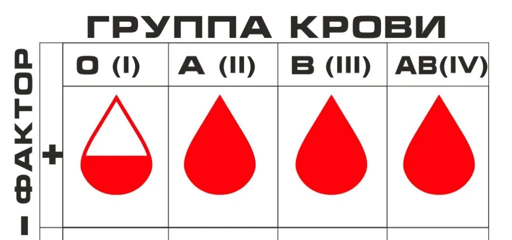 Группа крови. Славянская группа крови. Энергоновая структура крови. Группа крови в Турции. Группа крови том 5