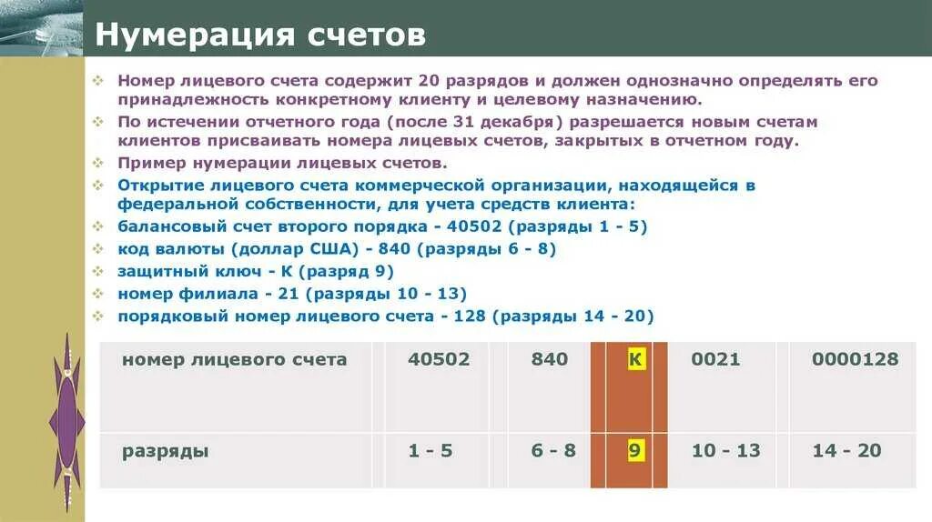 Нумерация счета. Нумерация лицевых счетов. Нумерация лицевых счетов в банке. Структура номера лицевого счета. Что значит счет учета