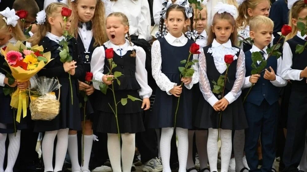 Линейка в школе. Первоклассники на линейке. Прическа для первоклассницы. Школьники на линейке. Пошли на линейку