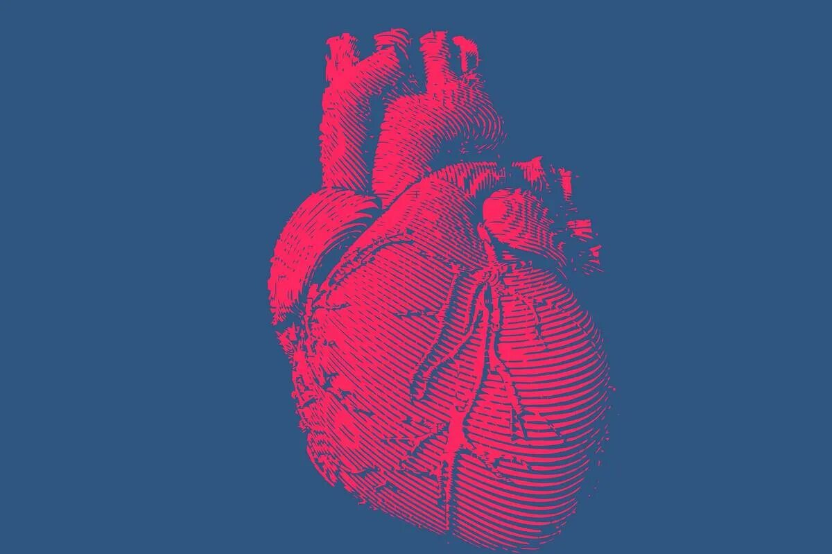 Презентация на тему сердце. Анатомическое сердце эстетика. Сердце темы. Сердце для слайда. Сердце.