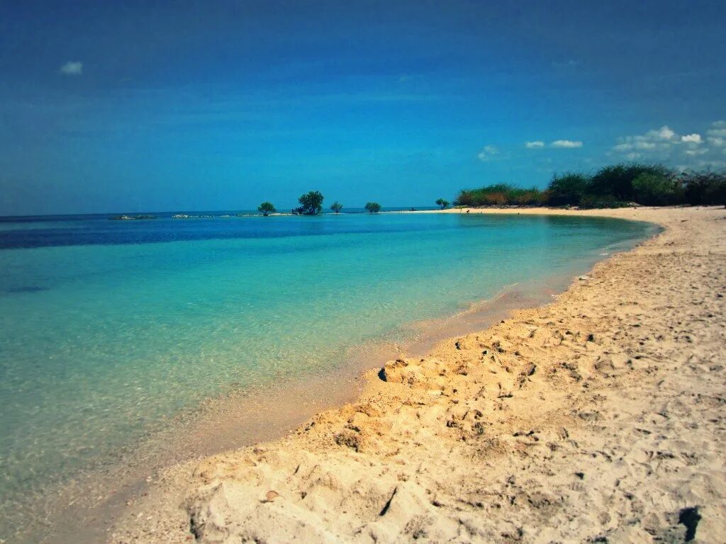 Your beach