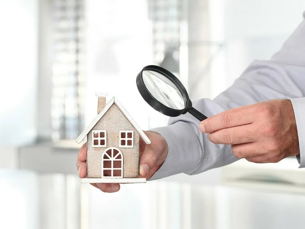 Малоэтажное строительство юмор. Проект шале лесмо. Рассмотрим дома. Дом под увеличительным стеклом. Клинкерный кирпич фельдхаус 685.