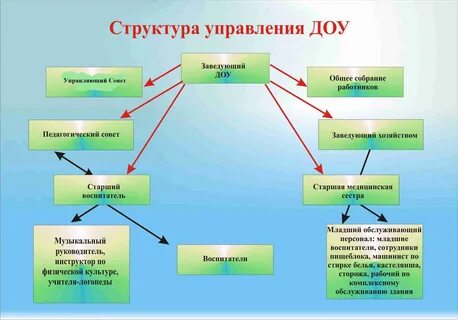 1 общественные органы управления