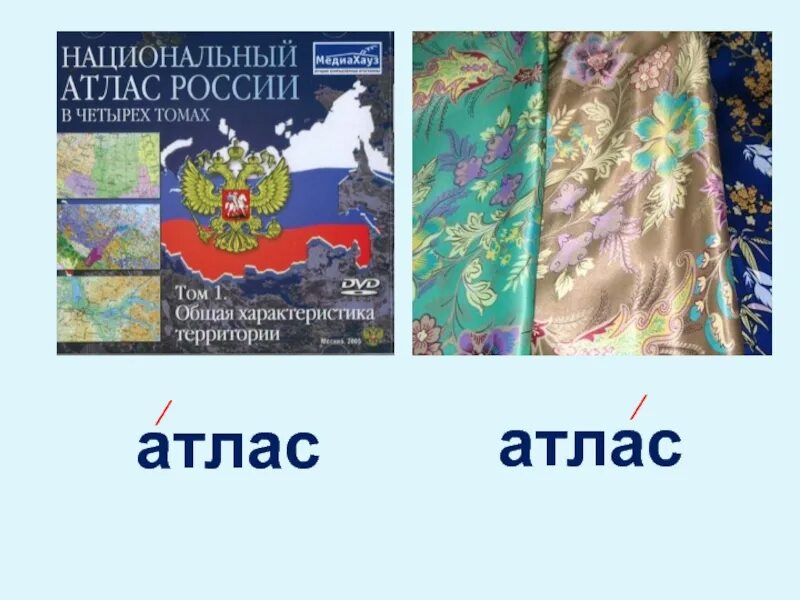 Атлас и атлас. Атлас атлас ударение. атлас атлас омографы. омографы атлас атлас значение.