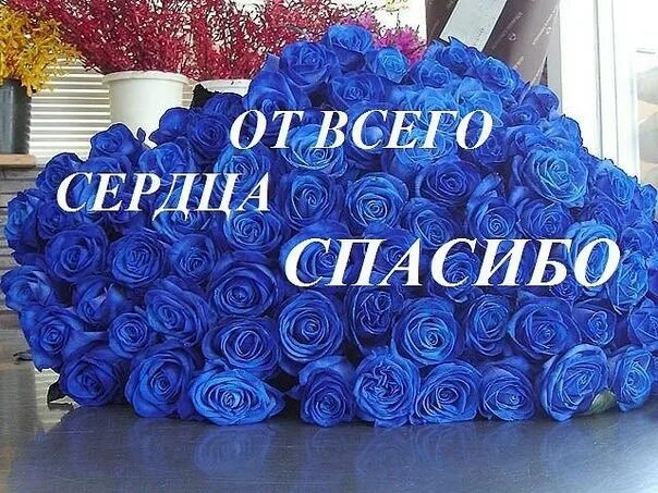 плата силам за помощь