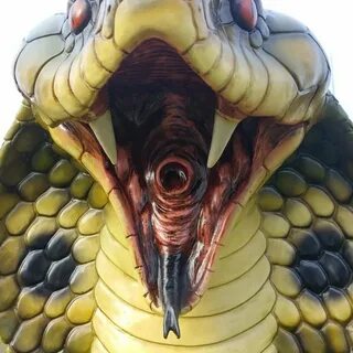 Kobra qartulad
