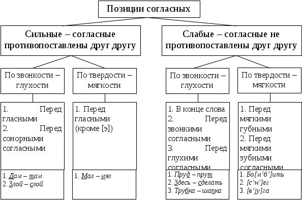 Сильные и слабые позиции гласных и согласных звуков. Сильные и слабые позиции фонем. Таблица сильные и слабые позиции гласных и согласных. Сильная позиция и слабая позиция согласных и гласных.