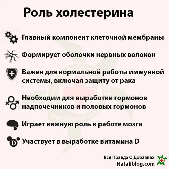 Биологическая роль холестерина. Роль холестерина в организме. Функции холестерина в организме. Физиологическая роль холестерина. Холестерол роль.