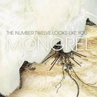 The number twelve