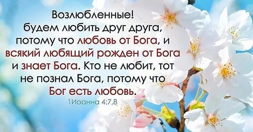 Возлюбил людей спаситель. Христианские открытки со стихами из Библии. Картинки с Цитатами из Библии. Стихи из Библии о любви. Христианские цитаты из Библии.