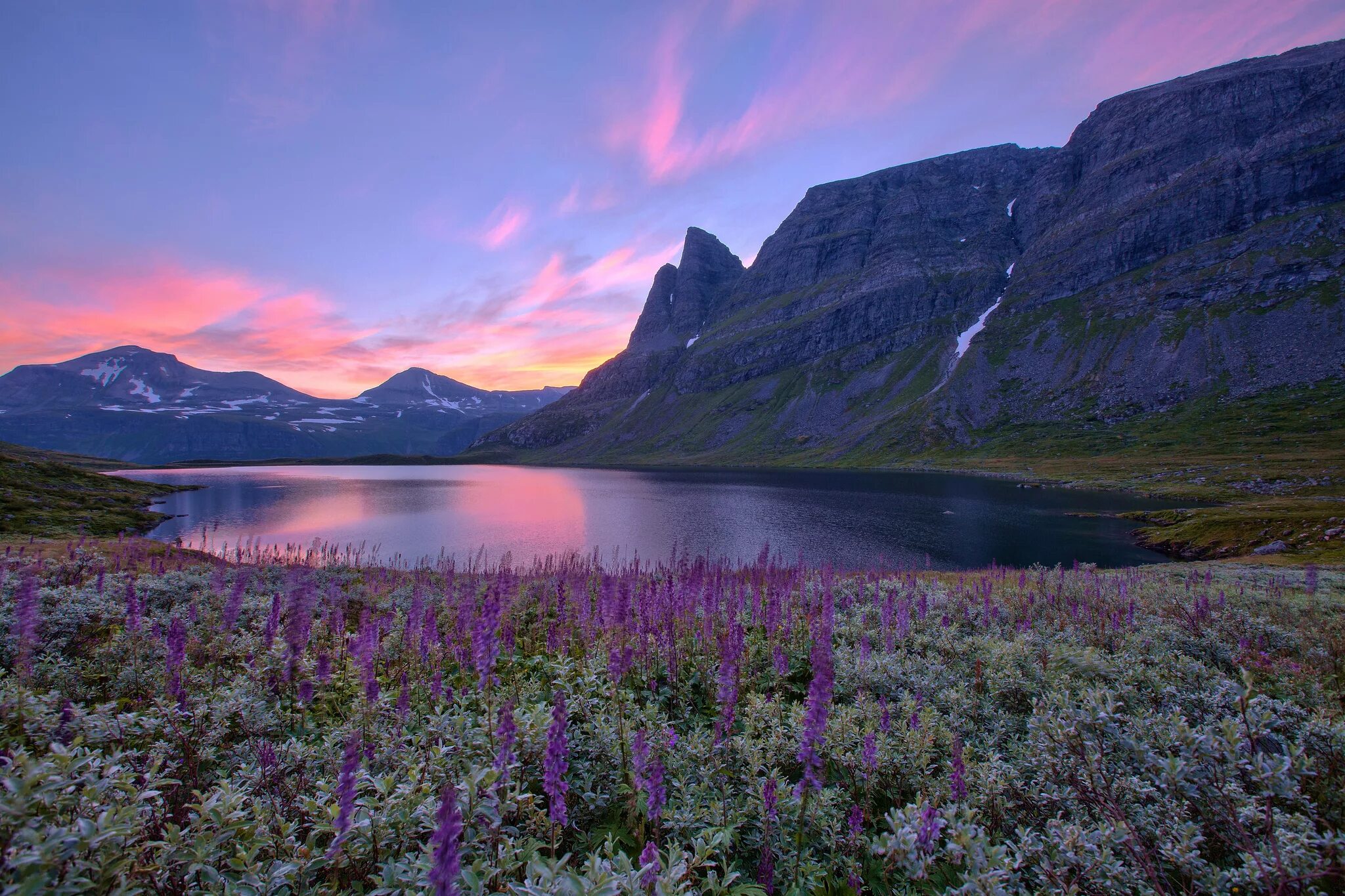 Природа обновилась. Озеро МЬЁСА Норвегия. Вереск Норвегия. Скандинавия фьорды. Тромсё Норвегия Цветущий Вереск.
