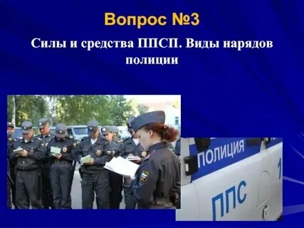 Основные силы полиции
