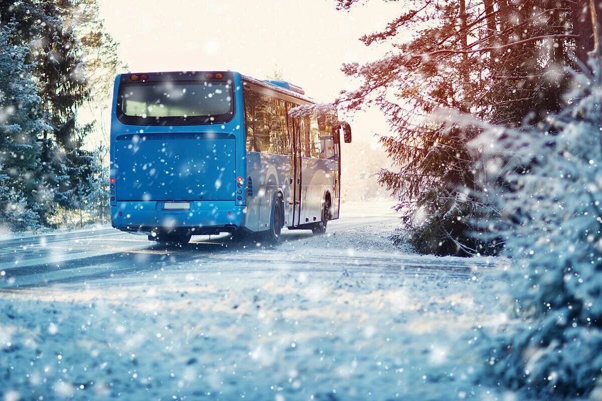 Автобус едет в горы. Автобус снег. Автобус зимой. Автобус в зимнем лесу. Автобус зима в лесу.