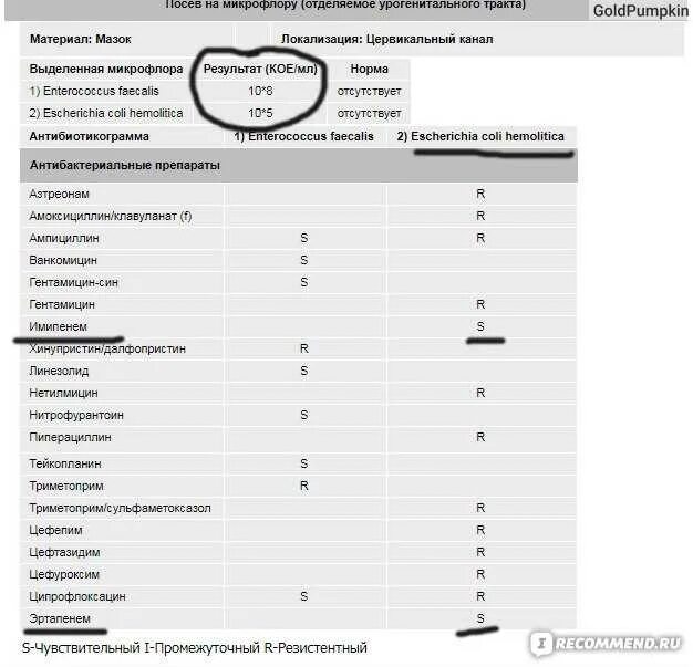 Enterococcus faecalis 10 4 кое мл