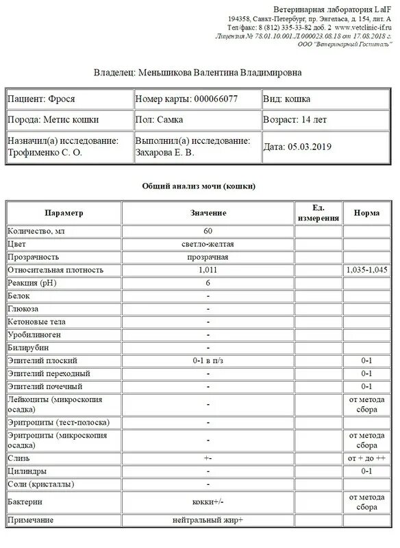 Анализ мочи расшифровка эпителий норма. Нормальные показатели анализа мочи эпителий. Плоский эпителий в моче анализ. Эпителий плоский в моче 1-1 это норма?. Повышенный эпителий в моче у мужчин