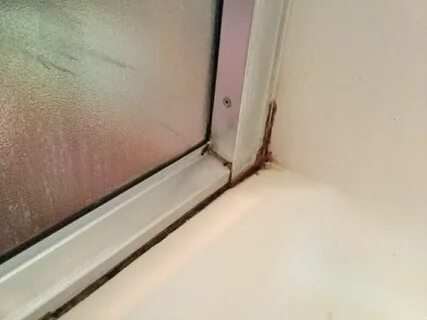 Плесень в душевой