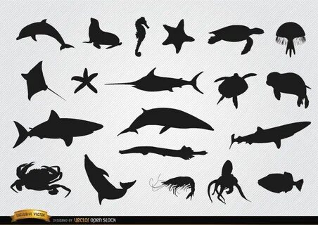 Sea animals vector graphics to download in AI, SVG, JPG and PNG. 